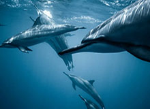 j9，九游娱乐：让娱乐触手可及的智慧选择